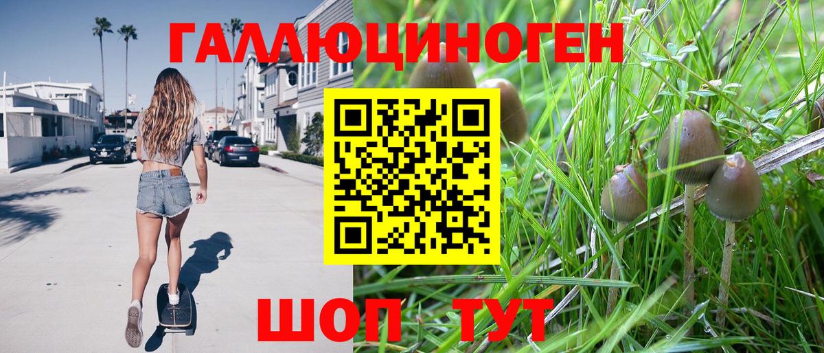 Омск  Псилоцибиновые грибы MAGIC MUSHROOMS  Вход с VPN  Галлюциногенные грибы Psilocybe 